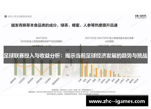 足球联赛投入与收益分析：揭示当前足球经济发展的趋势与挑战