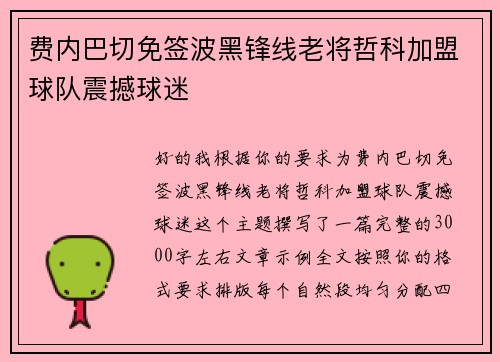 费内巴切免签波黑锋线老将哲科加盟球队震撼球迷 费内巴切免签波黑锋线老将哲科加盟球队震撼球迷